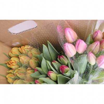 フラワーファームしろねのチューリップ切花30本　3品種×各10本[54070474]