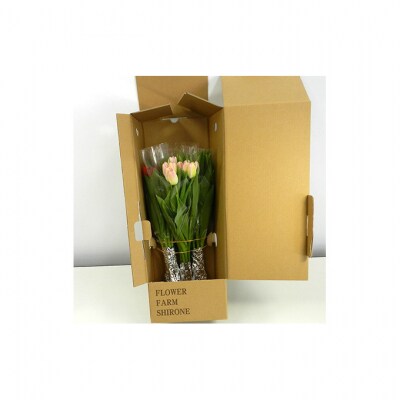 フラワーファームしろねのチューリップ切花30本　3品種×各10本[54070474]