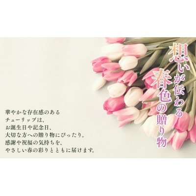 フラワーファームしろねのチューリップ切花30本　3品種×各10本[54070474]