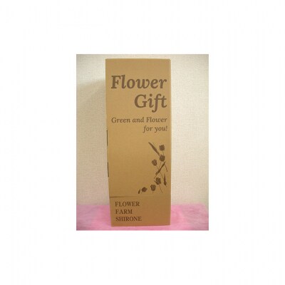 フラワーファームしろねのチューリップ切花　50本ピンク20本・黄20本・赤10本[54070475]