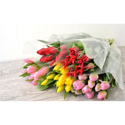 フラワーファームしろねのチューリップ切花50本　5品種×各10本[54070476]