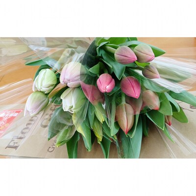 フラワーファームしろねのチューリップ切花20本(4品種×各5本)[54071373]