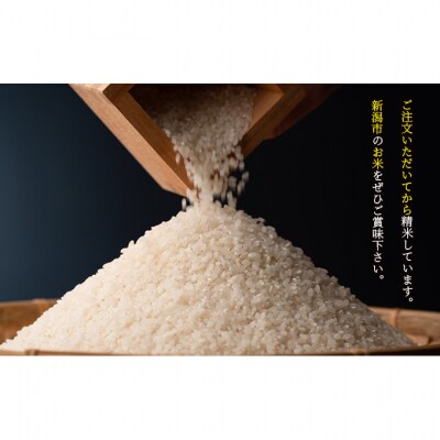 【はざかけ米】新潟コシヒカリ2kgと新之助2kgの食べ比べセット [54070488]