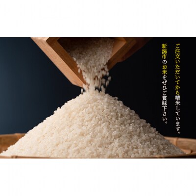 新潟コシヒカリ 無洗米5kg×2袋 [54070491]
