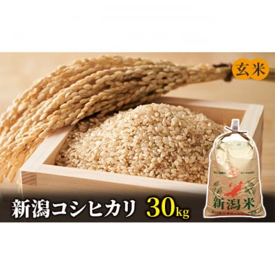 新潟コシヒカリ　玄米30kg [54070493]