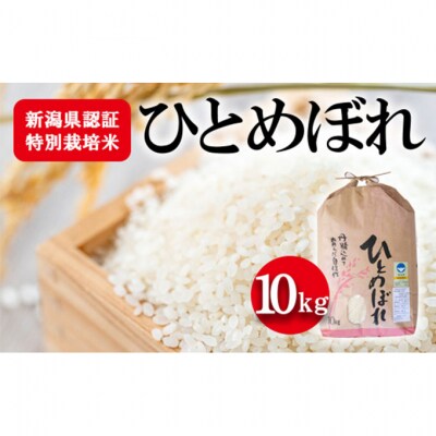 新潟県認証特別栽培米ひとめぼれ 10kg [54070577]