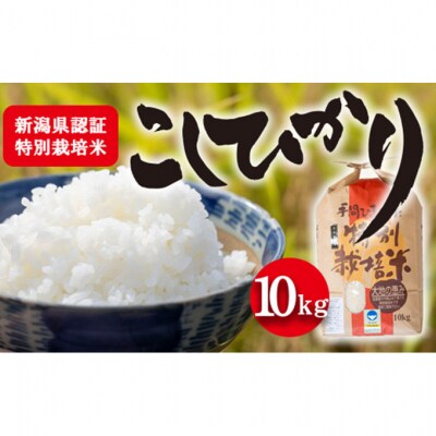 新潟県認証特別栽培米コシヒカリ 10kg [54070579]