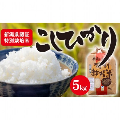新潟県認証特別栽培米コシヒカリ 5kg [54070580]