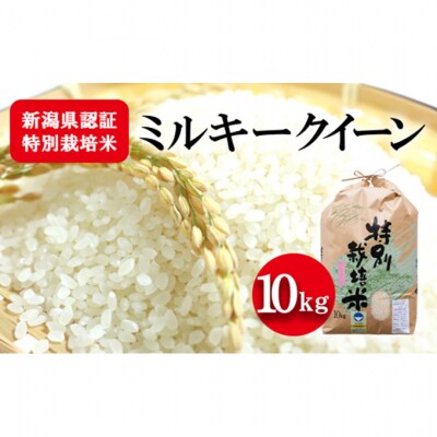 新潟県認証特別栽培米ミルキークイーン 10kg[54070581]