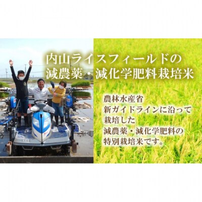 栽培期間中農薬を減らして栽培したお米 こしひかり 10kg [54070583]
