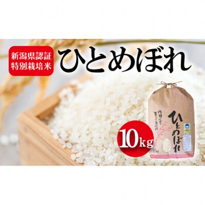 令和7年度産 新潟県認証特別栽培米 ひとめぼれ10kg [54070730]