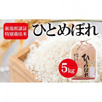 令和7年度産 新潟県認証特別栽培米 ひとめぼれ 5kg [54070731]