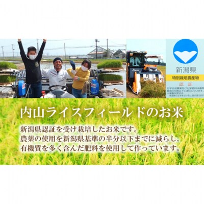 令和7年度産 新潟県認証特別栽培米 ひとめぼれ 5kg [54070731]