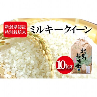 令和7年度産 新潟県認証特別栽培米 ミルキークイーン 10kg [54070734]