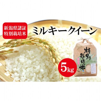 令和7年度産 新潟県認証特別栽培米 ミルキークイーン 5kg [54070735]