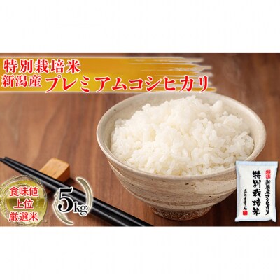 特別栽培米 新潟産コシヒカリ白米 5kg [54070584]