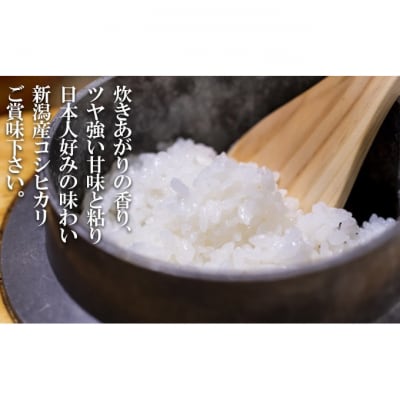 特別栽培米 新潟産コシヒカリ白米 5kg [54070584]