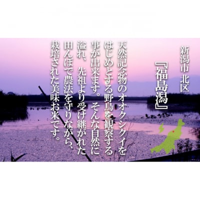 特別栽培米 新潟産コシヒカリ白米 10kg(5kg×2)[54070585]