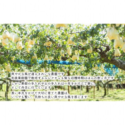 ルレクチェストレートジュース200ml 6本セット [54070910]