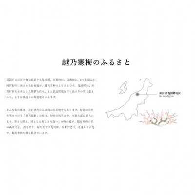 越乃寒梅 灑 1800ml 1本 [54070780]