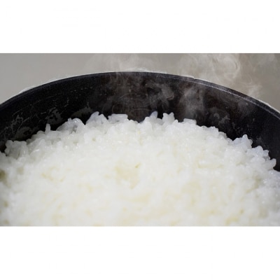 雪國かまど 固形燃料専用 釜 セット [54070695]