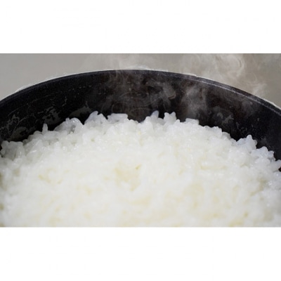 雪國ごはん釜 オーブントースター・オーブン専用 セット [54070696]