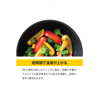 クワトロプラスIH フライパン20cm [54070856]