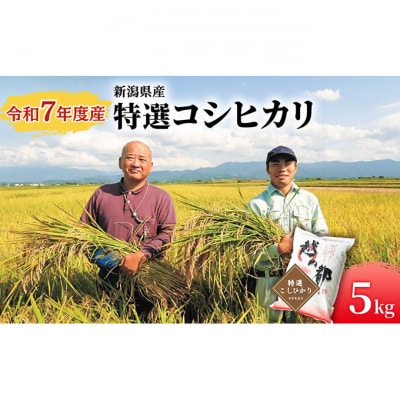 新潟県産 コシヒカリ 5kg [54070750]