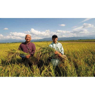 新潟県産 コシヒカリ 5kg [54070750]