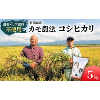 カモ農法コシヒカリ5kg 米 精米 白米 コシヒカリ 5kg [54070755]