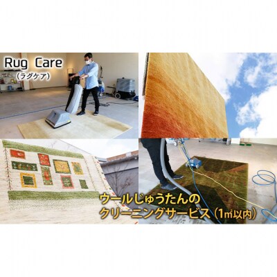 ウールじゅうたんのクリーニングサービス(1平方メートル以内)チケット [54070768]