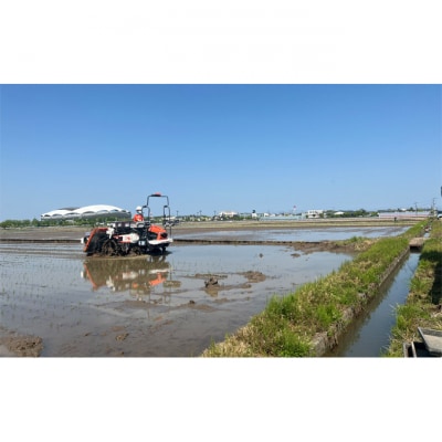 【アルビ米】新潟産コシヒカリ精米2kg×2袋 [54070825]