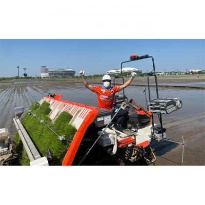 【アルビ米】新潟産コシヒカリ精米2kg×2袋 [54070825]