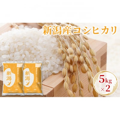 新潟産コシヒカリ 5kg×2 [54070972]