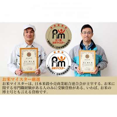 【特別栽培米】新潟産新之助 2kg×2 [54070975]