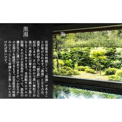 新潟の奥座敷 岩室温泉 加盟店共通利用券 12,000 円分チケット [54070832]