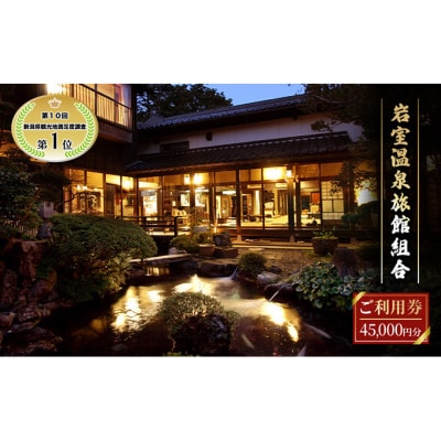 新潟の奥座敷 岩室温泉 加盟店共通利用券 45,000 円分 チケット[54071610]