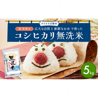 無洗米新潟産コシヒカリ5kg [54070839]