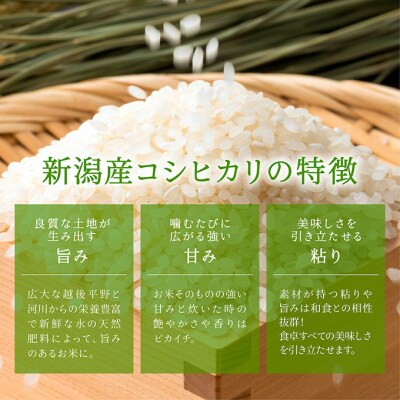 無洗米新潟産コシヒカリ5kg [54070839]