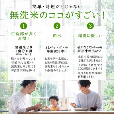 無洗米新潟産コシヒカリ5kg [54070839]