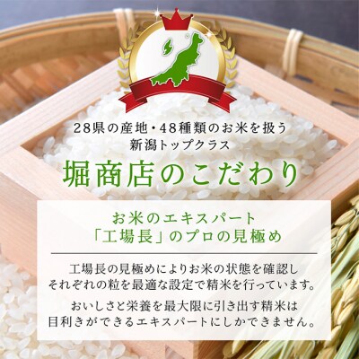 無洗米新潟産コシヒカリ5kg [54070839]