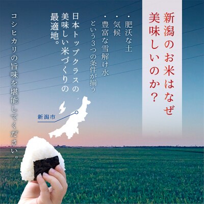 新潟産コシヒカリ 5kg 米 精米[54071203]