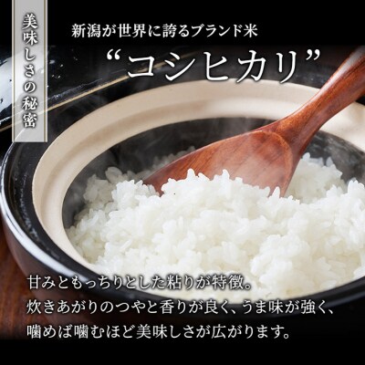 新潟小さな旅ギフトセット [54071204]