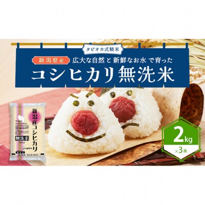 無洗米新潟産コシヒカリ2kg×3[54071319]