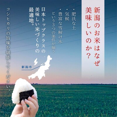 無洗米新潟産コシヒカリ2kg×3[54071319]