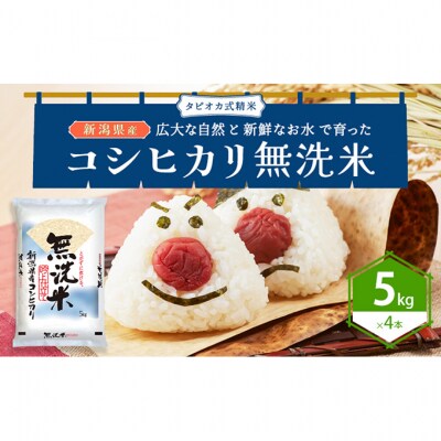 無洗米新潟産コシヒカリ5kg×4[54071329]