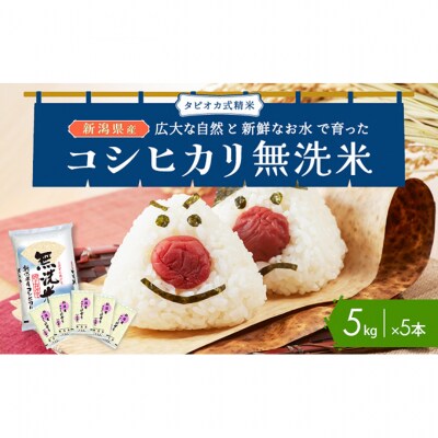 無洗米新潟産コシヒカリ5kg×5[54071331]