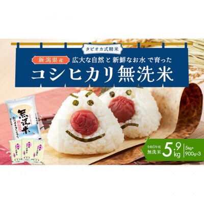 無洗米新潟産コシヒカリ5kg[54071332]