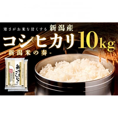 新潟産コシヒカリ 10kg精米[54071546]