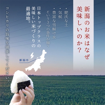 新潟産コシヒカリ 10kg精米[54071546]